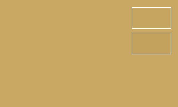 青金