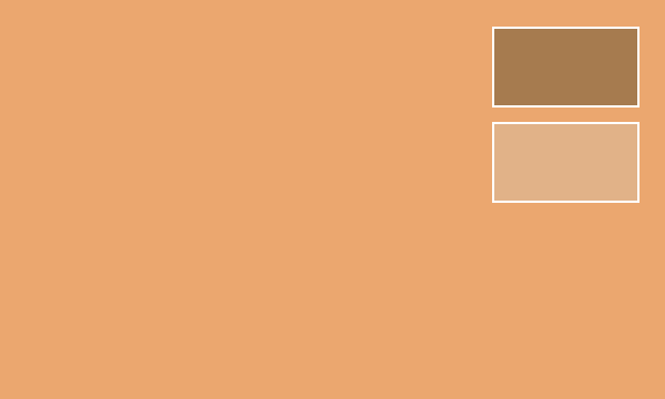 RLM79 サンディブラウン SNDY BROWN