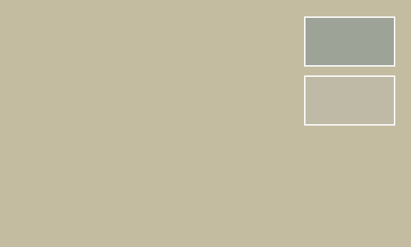RLM02 グレー RLM02 GRAY