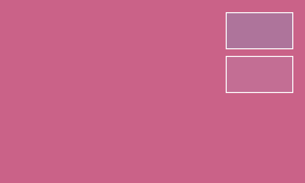 ピンク（桃）